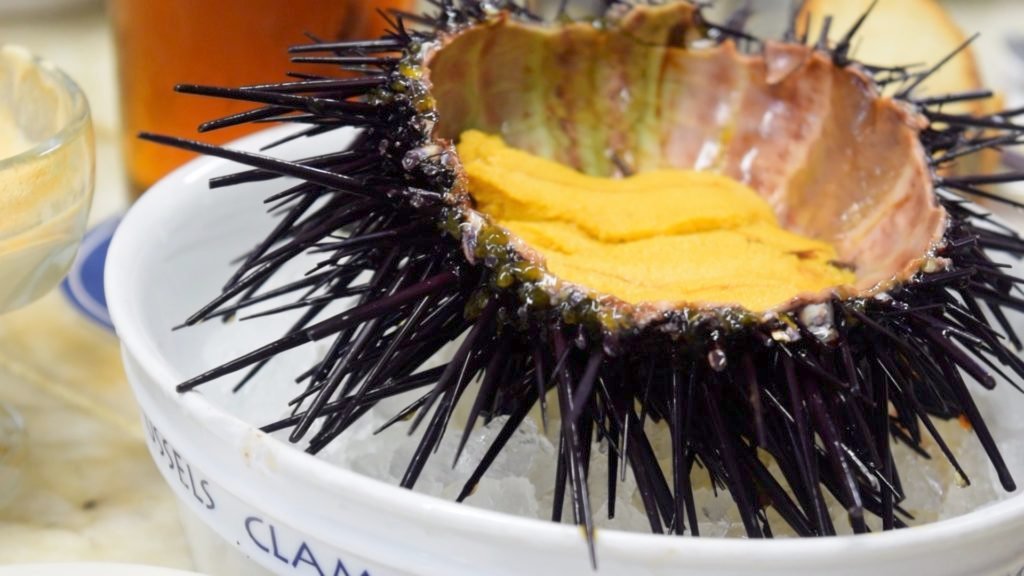 Uni at Swan Oyster Depot is some of the best seafood in San Francisco (if you can get it!)