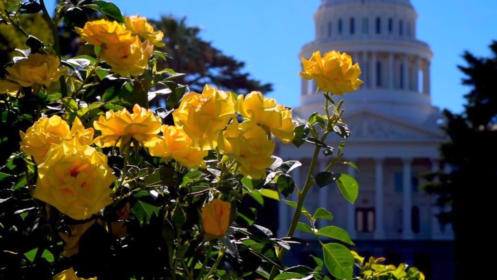 The sun shines on the California state capital