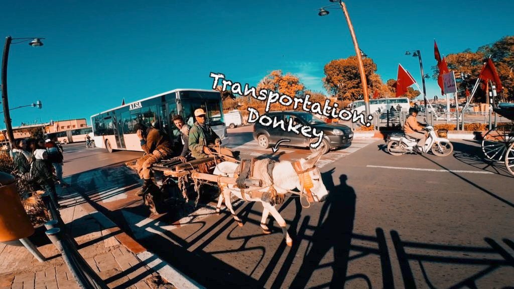 Bus, donkey cart, scooter, horse carriage, car...there are so many ways to get around Marrakech!
