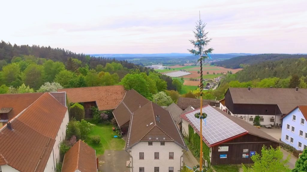 The Maypole (maibaum) can be anywhere between 18-30 meters tall! Learn more about May 1st Holiday celebrations at dtvdantieltelevision.com