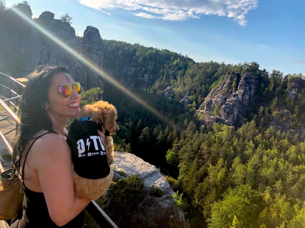 Every puppy needs a branded t-shirt!