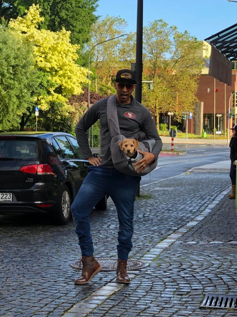 A travel bag for your puppy is essential when you plan to walk around all day. Their little legs get tired quickly!