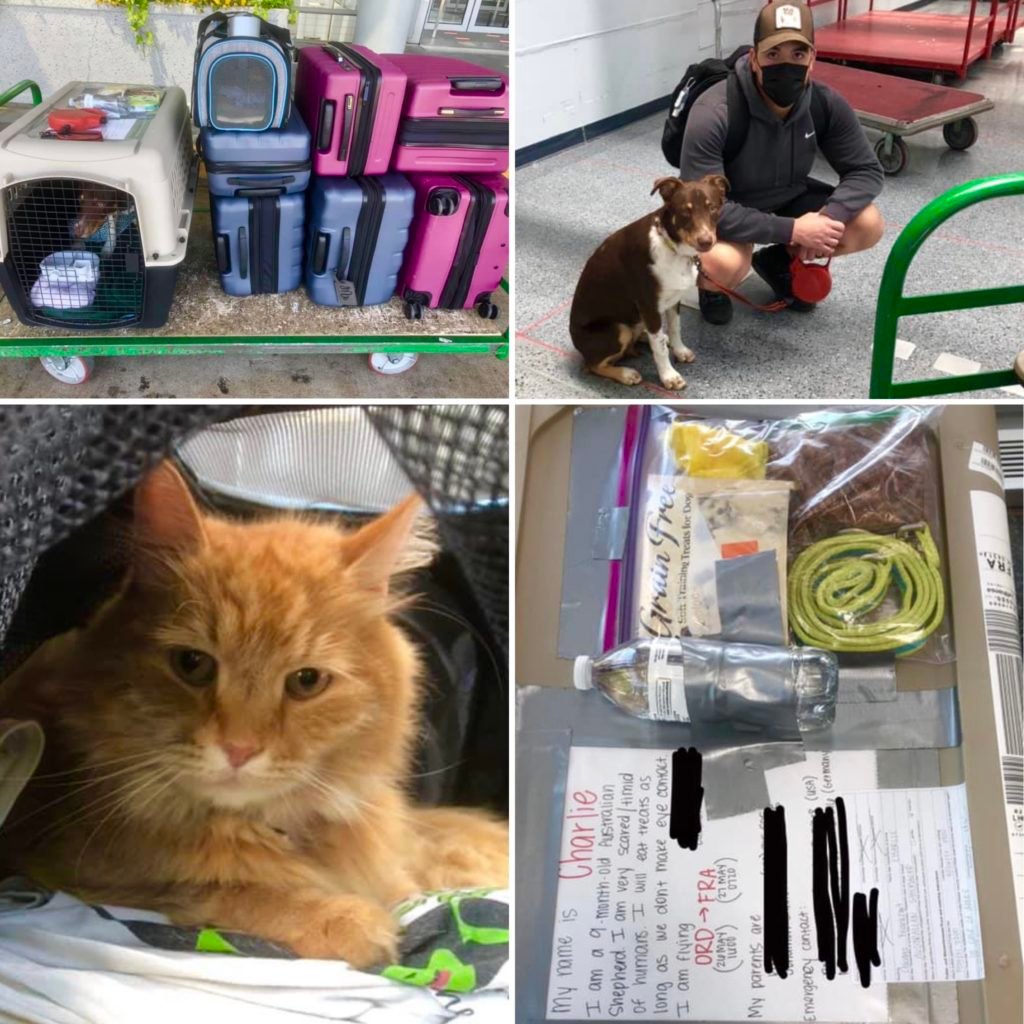 PCS to germany patriot express experience